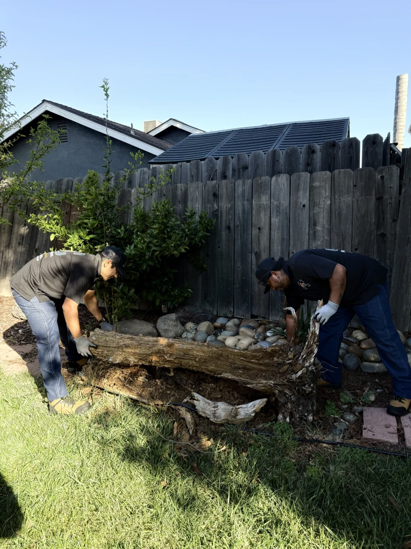 Two ScanJunk crew members lifting tree stump for removal